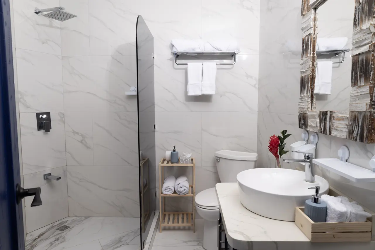 Bathroom with walk-in shower and vessel sink
