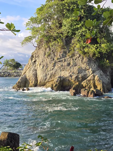 Rocky islet covered in trees surrounded by turquoise waves