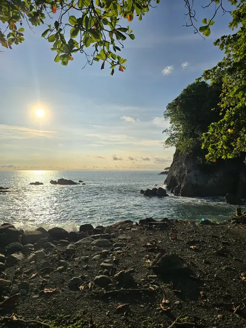 Sun over the ocean framed by tropical foliage