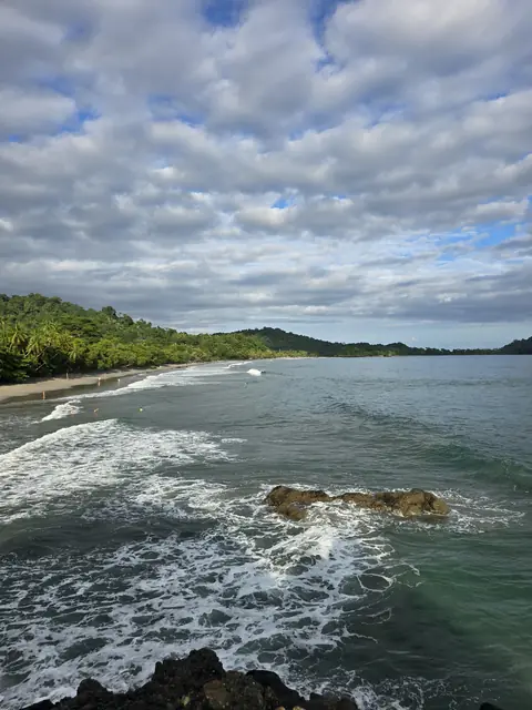 Coastline with waves and forested hills