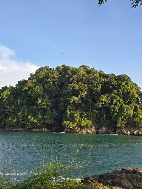 Forested island in turquoise water