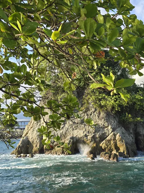 Rocky islet framed by green leaves